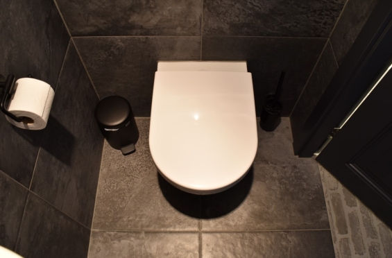 Verwonderlijk Toilet | Steenbergen Tegels Veenendaal De Klomp WP-09